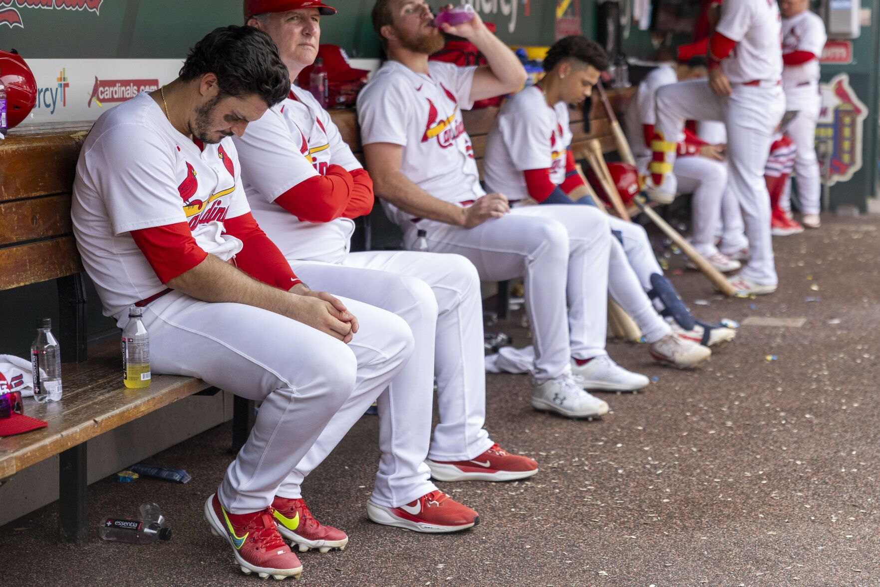 51黑料 Cardinals host Blue Jays